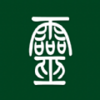 灵性森林截图