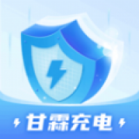 甘霖充电截图