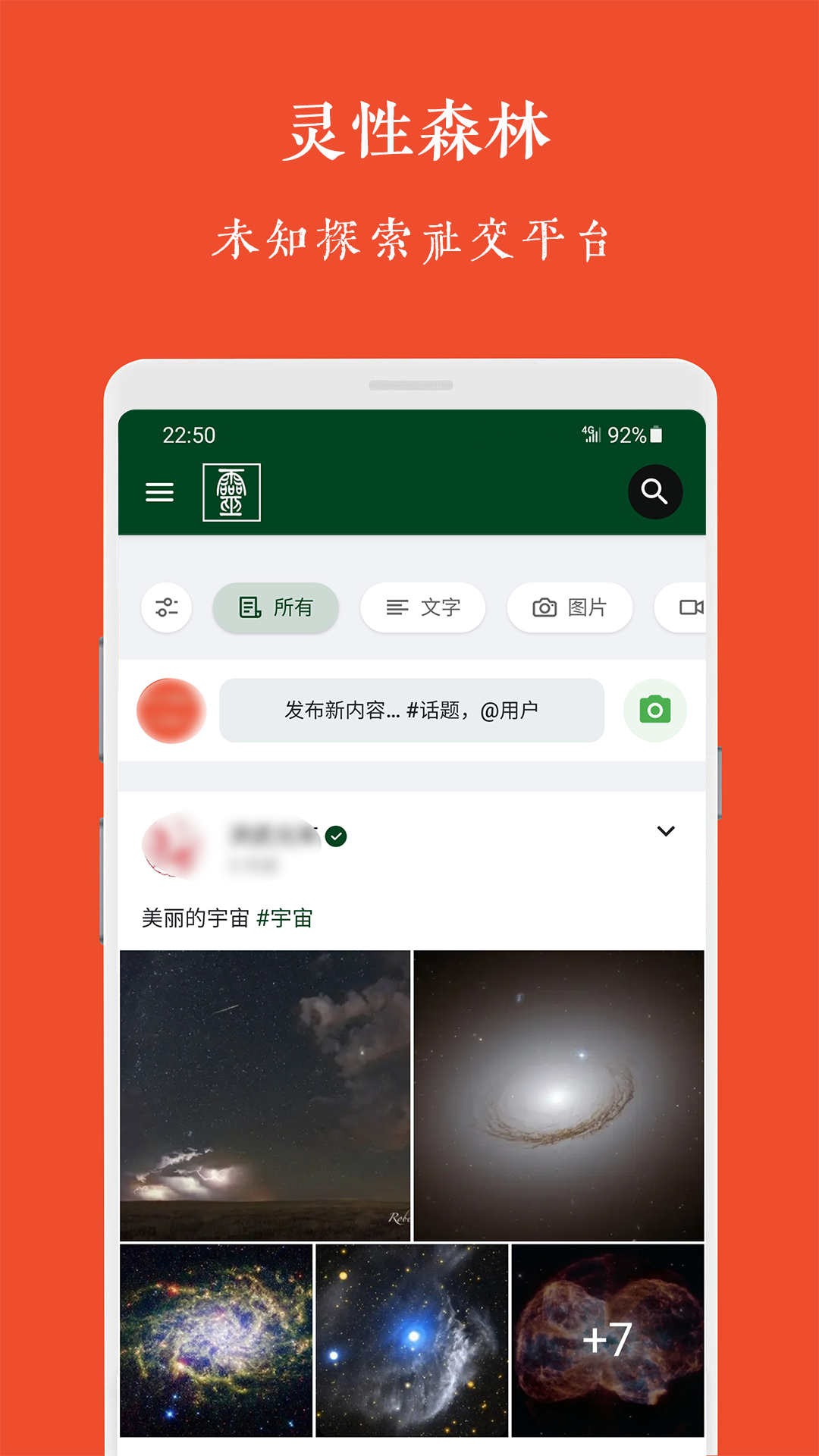 灵性森林截图