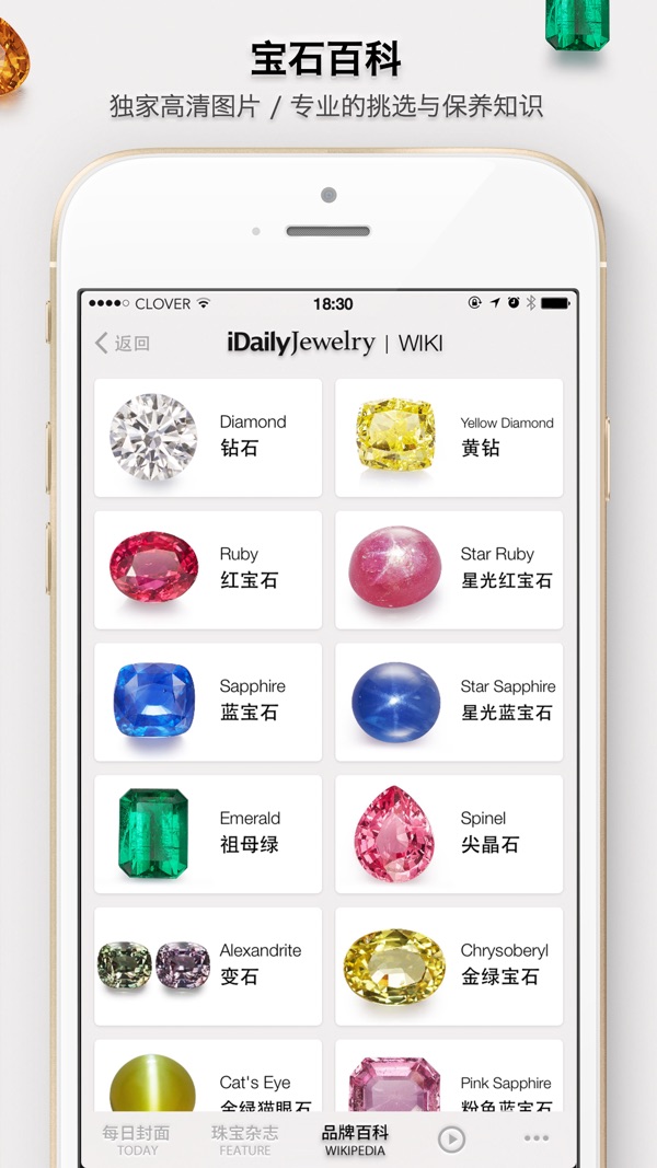 每日珠宝杂志截图