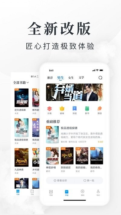 慧斯小说截图