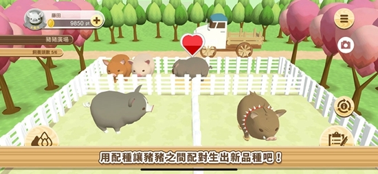养猪场3D最新版下载截图