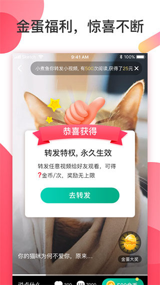 魔视app官方版下载截图