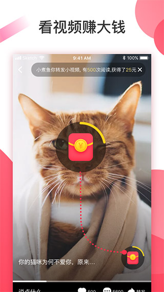 魔视app官方版下载截图