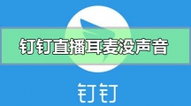 《钉钉》直播耳机麦克风没声音