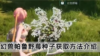 《幻兽帕鲁》野莓种子的获取方法