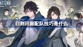 《白荆回廊》配队的基本逻辑是什么