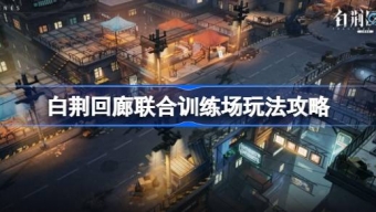 《白荆回廊》联合训练场搭配什么阵容合适