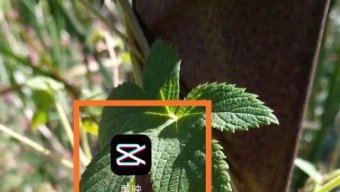 《剪映》如何修改自动识别字幕中的错字？