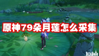 《原神》79朵月莲采集指南