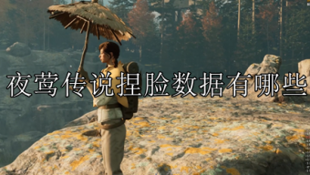 《夜莺传说》捏脸自定义选项指南