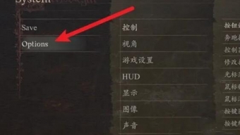 《龙之信条2》完美水面倒影设置