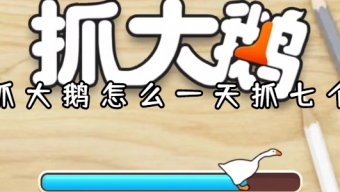 《抓大鹅》怎么一天抓七个