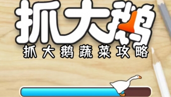 《抓大鹅》蔬菜篇玩法分享