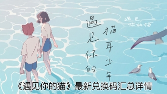 《遇见你的猫》兑换码大放送