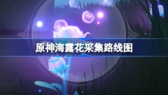 《原神》海露花采集路线分享