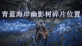 《艾尔登法环》青蓝海岸幽影树碎片收集攻略