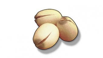 《鸣潮》莲实采集位置一览