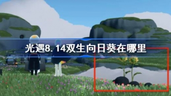 光遇8.14双生向日葵在哪里收集