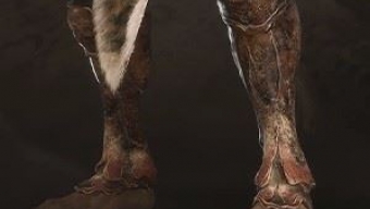 《黑神话：悟空》昆蚑刺足介绍