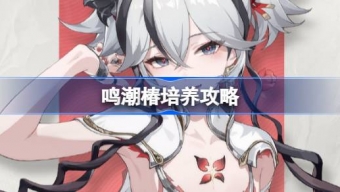 鸣潮新角色椿培养攻略